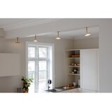UMAGE LED točkovno svetilo v zlati barvi ø 12 cm Asteria Spot – | Shoptok.si