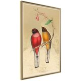  Poster - Ornithologist's Drawings 30x45 | shoptok.hr