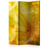  Paravan u 3 dijela - Soft dandelion flower [Room Dividers] 135x172 Cijene
