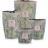 Baobab Collection Folia Maquis dišeča sveča 16 cm | Shoptok.si