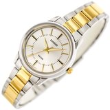 Casio Analogne ure LTP1303SG7A pisana | Shoptok.si