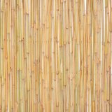  Ograja iz bambusa 300x100 cm, (20831353) | Shoptok.si