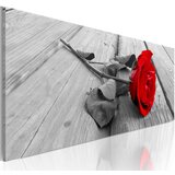  Slika - Carmine rose 135x45 Cijene
