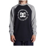 Dc Shoes Puloverji DC Star Pilot Večbarvna | Shoptok.si