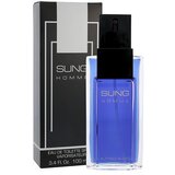 Alfred Sung Sung Homme toaletna voda 100 ml za moške | Shoptok.si
