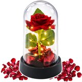  Vječna ruža u kupoli s LED rasvjetom crvena s laticama ruže 14x8cm | shoptok.hr