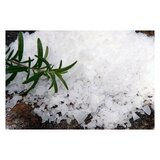 ACUTOP Živa magnezijeva kopalna sol, 5,5 l Cene