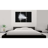  Slika - A small feather 120x80 | shoptok.hr