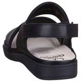 Ganter Evi Crna | shoptok.hr