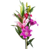  Rezano cvijeće GRANA LJILJAN 90 CM GFS002569 | shoptok.hr