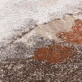 Asiatic Carpets Preproga 160x230 cm Mirage Blur Terra – | Shoptok.si