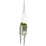 Casa Selección Umetna rastlina (višina 40 cm) – Cene