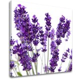  Slike na platnu cveće (moderne slike na platnu) | ePonuda.com