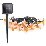 Smania solarne svetiljke na žici cutesybee