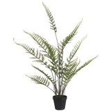  Umjetna biljka Paprat (Visina: 91 cm, Plastika) Cijene