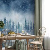  Foto tapeta - Night landscape - landscape of a misty forest at night with a starry sky 500x350 Vodootporna | shoptok.hr