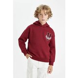Defacto Boy Oversize Fit Hooded Thick Sweatshirt | ePonuda.com