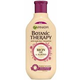 Garnier botanic therapy ricin oil & almond šampon 400ml pvc Cene