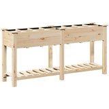 vidaXL Vrtni zasadni posod z mrežami 161x43x76 cm Trden bor, (22010825) | Shoptok.si
