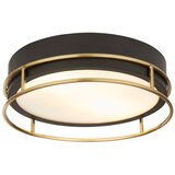 Searchlight Vgradna svetilka Phoenix 2, črna, medenina, matirano steklo, (22100769) | Shoptok.si