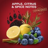 Old Spice Bearglove Anime darilni set za moške | Shoptok.si