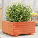 Maison Chic Vrtno cvetlično korito - Cvetlični Lonec voščeno 50x50x26,5 cm trdna borovina, (21789579) | Shoptok.si