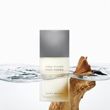 Issey Miyake - L'EAU D'ISSEY HOMME edt vaporizador 40 ml Cijene