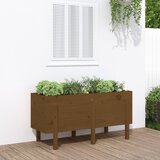 vidaXL Vrtna visoka greda medeno rjava 121x50x57 cm trdna borovina Cene