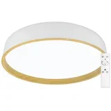 Light - LED prigušiva stropna svetiljka DEKOR LED/51W/230V + daljinski upravljač bela/bež