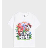 Sinsay Pamučna majica s printom PAW Patrol | shoptok.hr