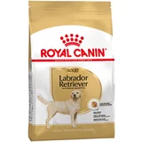 Royal_Canin Breed Labrador Retriever Adult - 3 kg