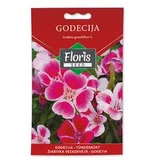 FLORIS cveće Turski karanfil 0.3 g