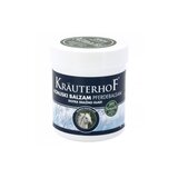 Krauterhof KONJSKI BALZAM EKSTRA HLADAN 100ML NEW | ePonuda.com