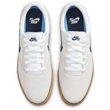 Nike Nizke superge Sb Chron 2 pisana | Shoptok.si