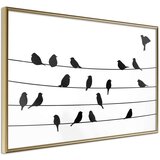  Poster - Birds Council Meeting 60x40 | shoptok.hr