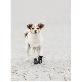 Trixie čizmice za pse Walker Active Crna | Eponuda.com