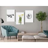  Slika - Nature (Collection) 60x30 | shoptok.hr