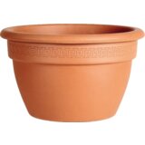 Degrea saksija zvonasta plitka 42cm Cene