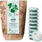 shuyao bio čaj od mente - set | shoptok.hr