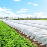 Bijeli Agrotekstil Pokrov 70 gsm 1,6 x 50 m | shoptok.hr
