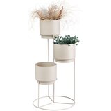 Ambia Home CVETLIČNI LONEC | Shoptok.si
