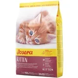 Kitten - 2 kg