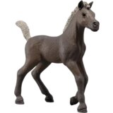Schleich 81460 - Horse Club - Darcy - Žrebiček za zbiranje - 1 k. | Shoptok.si