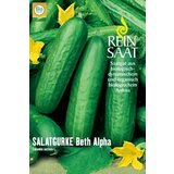 ReinSaat Kumara "Beth Alpha" Cene