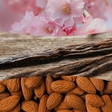 WoodWick Cherry Blossom & Vanilla dišeča sveča z lesenim stenjem 275 g | Shoptok.si