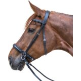  Uzda STAR, brez brzde, črna | Shoptok.si