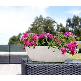 Artevasi Cvetlično korito iz reciklirane plastike 45 cm Bahia – | Shoptok.si