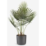  Veštačka biljka, 73cm, Zelena | Eponuda.ba