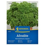 KIEPENKERL Zelenjavna semena Peteršilj Afrodite (Petroselinum crispum, Čas žetve: Junij) Cene