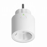 Delock Pametna vtičnica IP - WiFi, 2,4GHz, MQTT z merilcem porabe | Shoptok.si